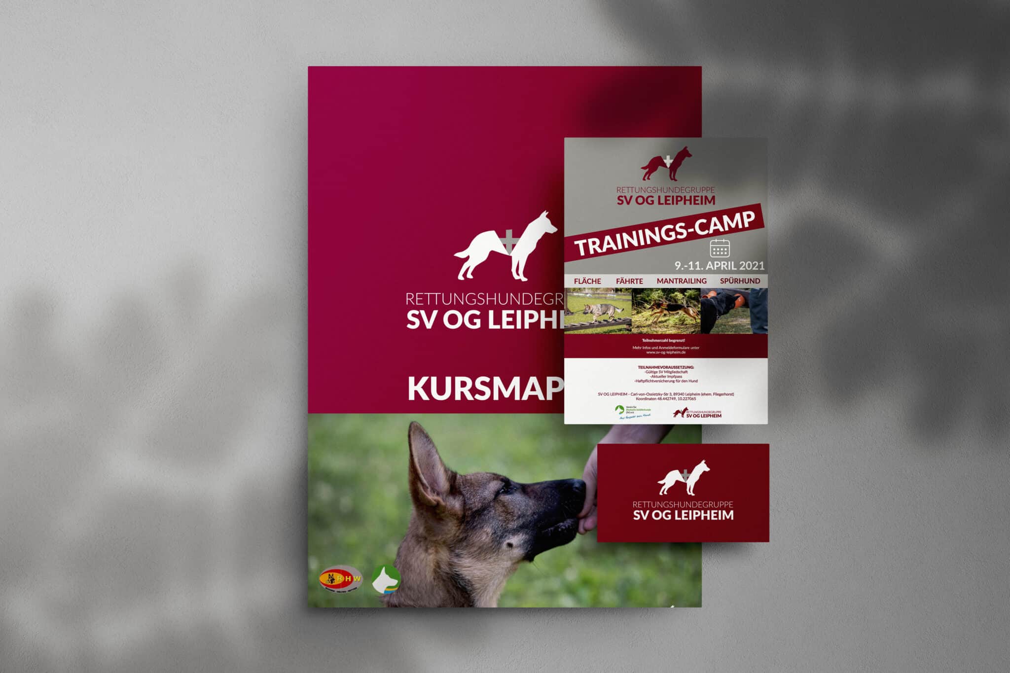 Webdesigner Jettingen